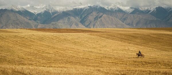 Un jinete en las estepas asiáticas - Sputnik Afrique