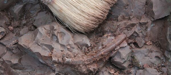 Un charnier contenant les restes de 600 personnes découvert à Brest - Sputnik Afrique