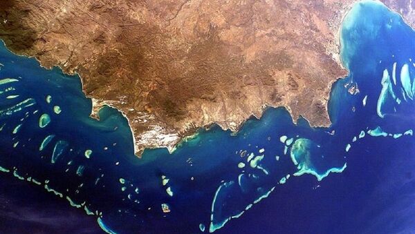 Great Barrier Reef, Australia - Sputnik Afrique