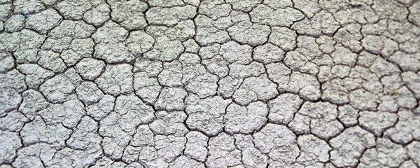 Sécheresse - Sputnik Afrique