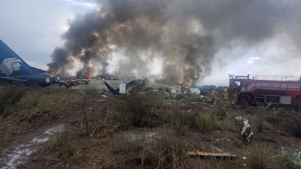 Site du crash de l'avion Embraer 190 au Mexique - Sputnik Afrique
