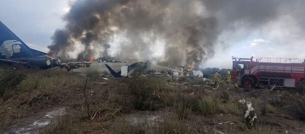 Site du crash de l'avion Embraer 190 au Mexique - Sputnik Afrique