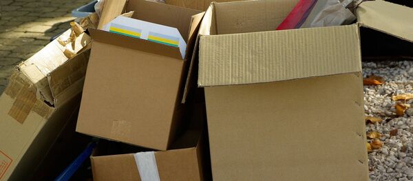 boite, image d`illustration - Sputnik Afrique