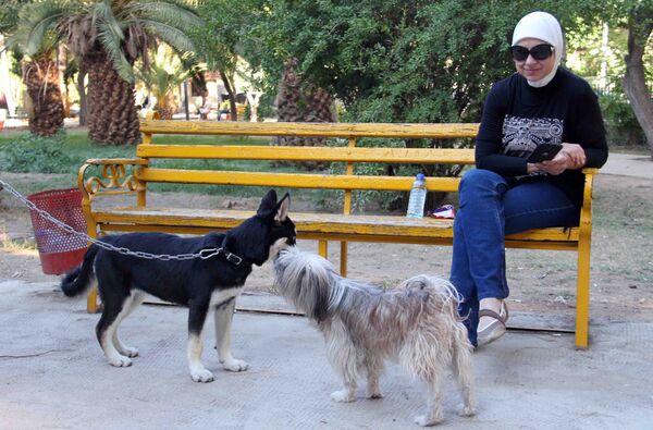 Les habitants de Damas promènent désormais leurs chiens dans les parcs  - Sputnik Afrique