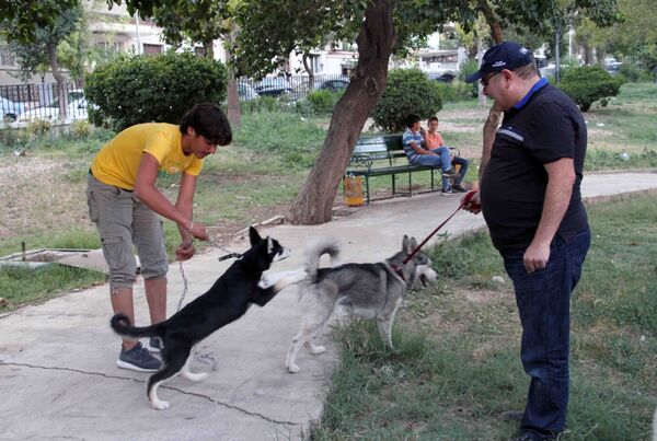 Les habitants de Damas promènent désormais leurs chiens dans les parcs  - Sputnik Afrique