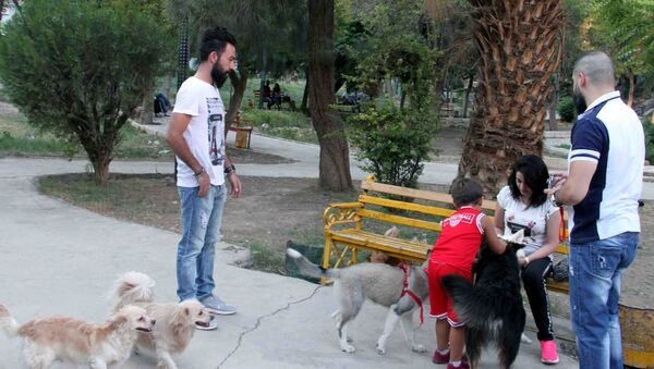 Les habitants de Damas promènent désormais leurs chiens dans les parcs - Sputnik Afrique