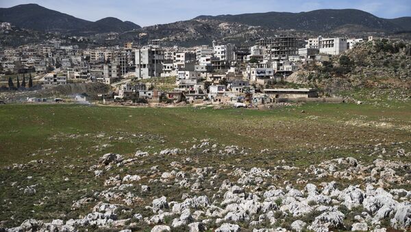 A view of the town of Masyaf in Hama province, in Syria (File) - Sputnik Afrique
