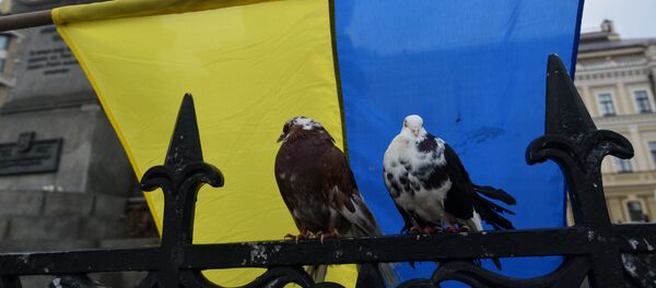 Ukraine - Sputnik Afrique