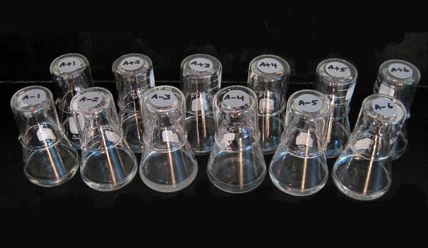 En février 1988, les chercheurs ont créé douze populations d'une souche de bacille intestinal Escherichia coli (E. coli)  - Sputnik Afrique