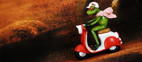 moto - Sputnik Afrique