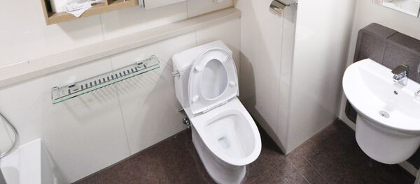 Toilet - Sputnik Afrique