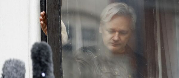 Julian Assange - Sputnik Afrique