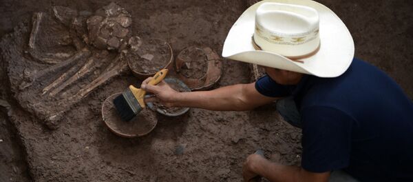 archéologue, image d`illustration - Sputnik Afrique