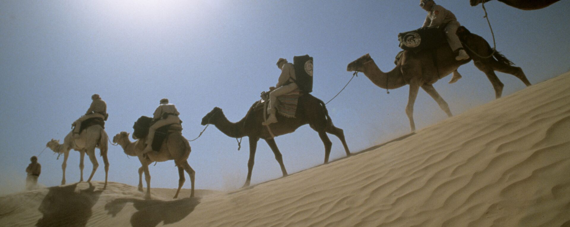 Des chameaux - Sputnik Afrique, 1920, 17.09.2021