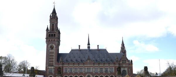 La Haye La Haye - Sputnik Afrique