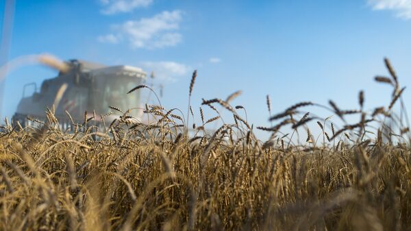 Le Mali est ouvert aux partenariats agricoles avec la Russie, selon un responsable