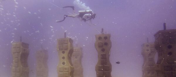 Neptune Memorial Reef - Sputnik Afrique