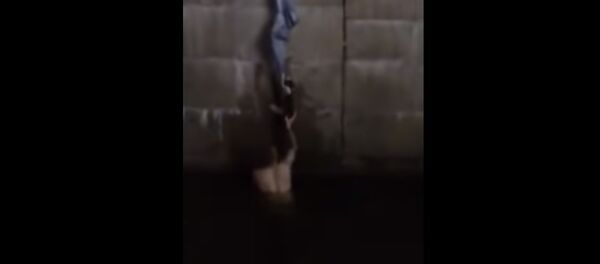 Une salve d'applaudissements pour le sauveur d’un chat - Sputnik Afrique