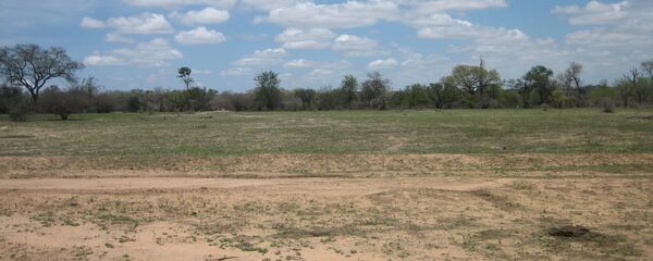 Parc National Kruger - Sputnik Afrique