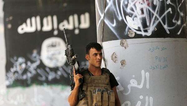 A member of Iraqi counterterrorism forces stands guard near Islamic State group militant graffiti in Fallujah, Iraq (File) - Sputnik Afrique