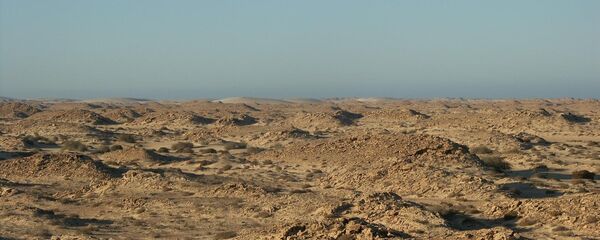 Sahara occidental - Sputnik Afrique