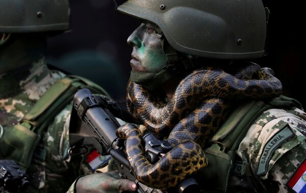 Un soldat des forces spéciales avec un serpent autour du cou lors d’un défilé militaire à Asunción, au Paraguay - Sputnik Afrique