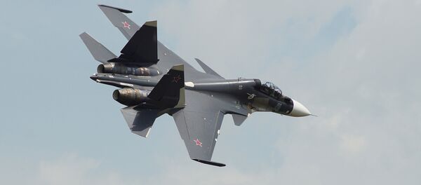 Un Su-30SM Un Su-30SM - Sputnik Afrique