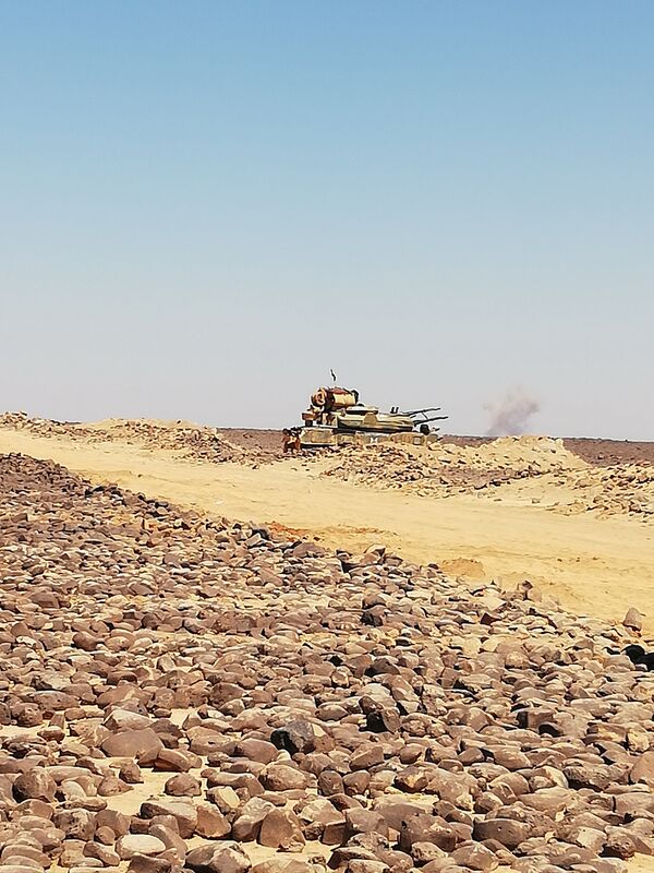 Le désert de Soueïda - Sputnik Afrique