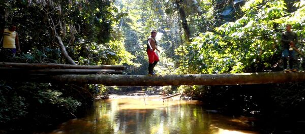 Expedição da Funai constata evidências de índios isolados e inibe a presença de infratores nas terras indígenas Vale do Javari e Mawetek - Sputnik Afrique