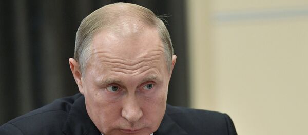 Vladimir Poutine - Sputnik Afrique