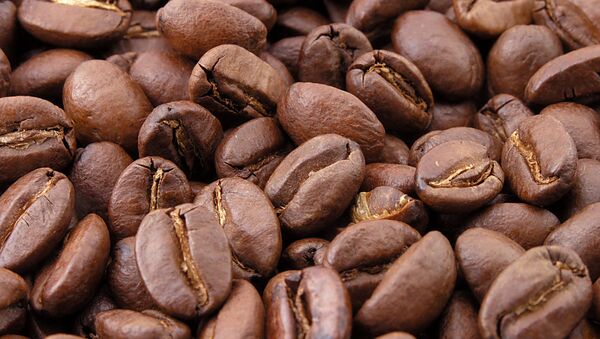 Grains de café - Sputnik Afrique