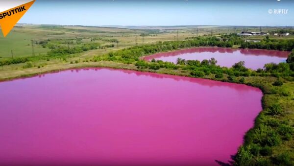 des lacs roses de Samara - Sputnik Afrique