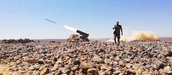 Syrie: le champ volcanique d’al-Safa transformé en champ de bataille Syrie: le champ volcanique d’al-Safa transformé en champ de bataille - Sputnik Afrique