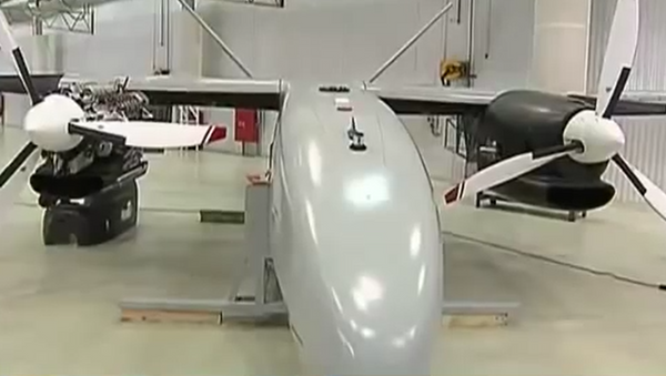 die russische Drohne „Altius“ (Symbolbild) - Sputnik Afrique