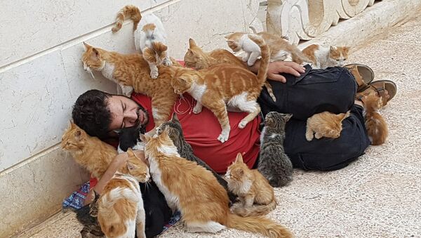 Mohammed Alaa al-Jalil avec ses chats - Sputnik Afrique