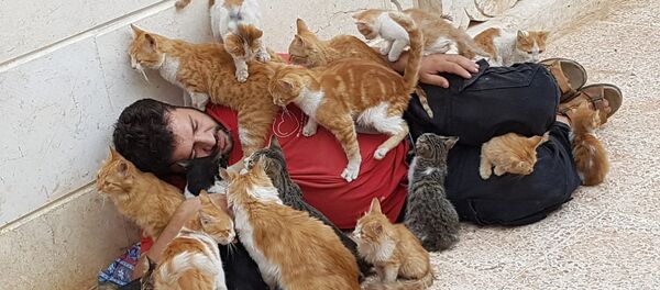 Mohammed Alaa al-Jalil avec ses chats - Sputnik Afrique