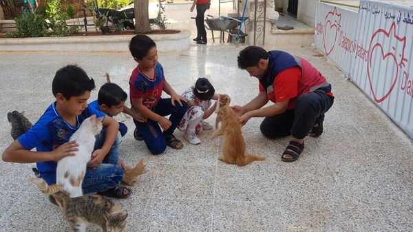 Mohammed Alaa al-Jalil et ses chats - Sputnik Afrique