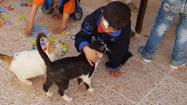 Un enfant avec les chats de Mohammed Alaa al-Jalil - Sputnik Afrique