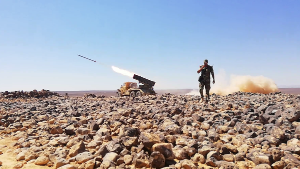 راجمات الجيش السوري تدك آخر جيوب داعش الإرهابي في تلول الصفا ببادية السويداء - Sputnik Afrique