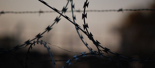Fil de fer barbelé - Sputnik Afrique