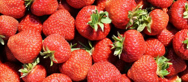 Erdbeeren  (Symbolbild) - Sputnik Afrique