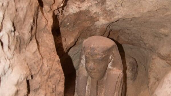 The sandstone statue of Sphinx that was discovered in Kom Ombo Temple in Aswan in upper Egypt is seen in this handout picture obtained on September 16, 2018. - Sputnik Afrique