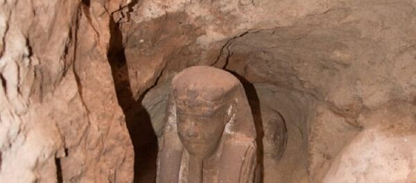 The sandstone statue of Sphinx that was discovered in Kom Ombo Temple in Aswan in upper Egypt is seen in this handout picture obtained on September 16, 2018. The sandstone statue of Sphinx that was discovered in Kom Ombo Temple in Aswan in upper Egypt is seen in this handout picture obtained on September 16, 2018. - Sputnik Afrique