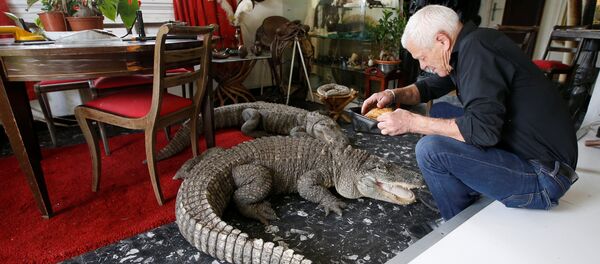 Mes amis les animaux: ce Français a 400 reptiles chez lui! - Sputnik Afrique