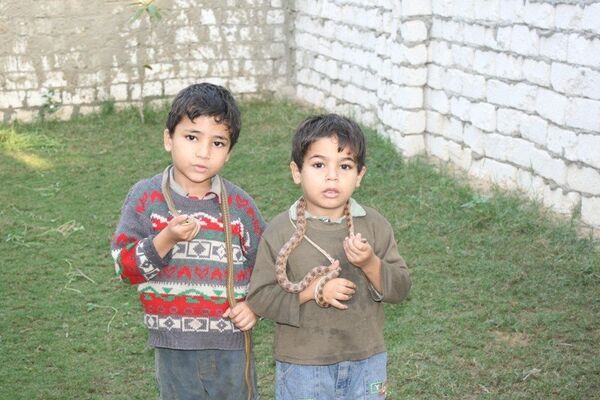 Dans le village, les enfants peuvent être vus en train de jouer avec des serpents comme s’il s’agissait de chats ou de chiens - Sputnik Afrique