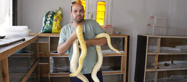 Mahmoud Talabah - Sputnik Afrique