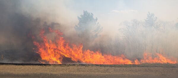 incendie incendie - Sputnik Afrique