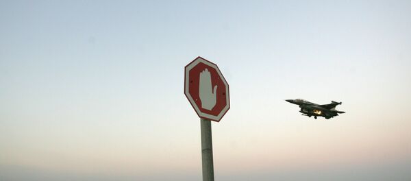 Un avion israélien, image d'illustration - Sputnik Afrique