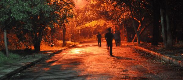 image d`illustration - Sputnik Afrique