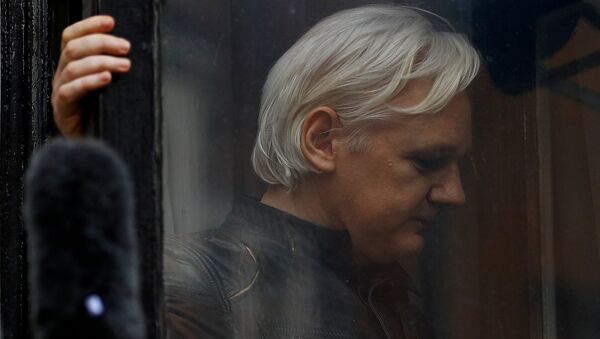 Julian Assange, fundador de WikiLeaks (archivo) - Sputnik Afrique